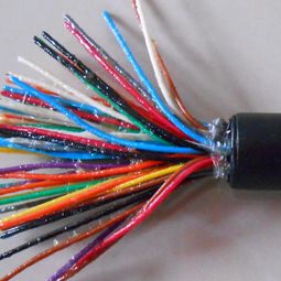 天聯(lián)牌myq礦用輕型橡套電纜3 1.5 1軟電纜多少錢一米