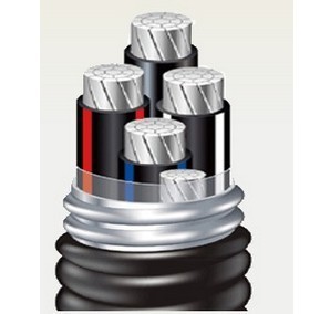 黑龍江鎧裝護(hù)套鋁合金電纜|哪里質(zhì)量好?圖片|黑龍江鎧裝護(hù)套鋁合金電纜|哪里質(zhì)量好?產(chǎn)品圖片由東風(fēng)線纜集團(tuán)股份公司生產(chǎn)提供-