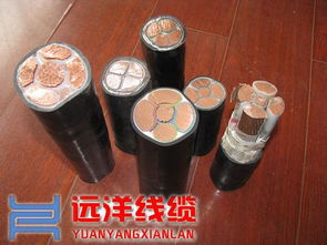 低價(jià)低煙無(wú)鹵電纜 低煙無(wú)鹵電纜 遠(yuǎn)洋電線電纜