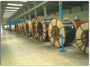 上海扁平電纜行業(yè)上升空間巨大_國內(nèi)新聞_資訊_線纜世界網(wǎng)