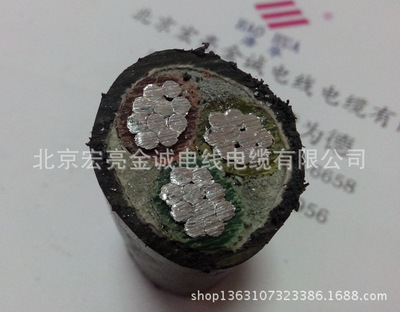 【鋁芯電纜 鋁電纜 YJLV YJLV22 電纜 3&times;50平方 廠家直銷】價格,廠家,圖片,電力電纜,45條-