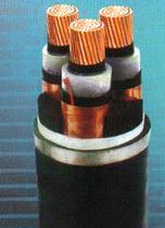 【10KV高壓電纜】10KV高壓電纜價格_10KV高壓電纜批發_10KV高壓電纜廠家 -