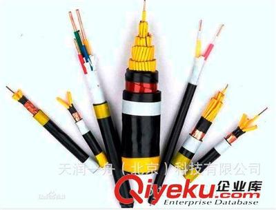 黑河DJYPV1*2*1.0電纜生產廠家|黑河計算機電纜全國最低價格圖片|黑河DJYPV1*2*1.0電纜生產廠家|黑河計算機電纜全國最低價格產品圖片由天潤一舟(北京)科技公司生產提供-