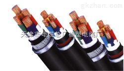電力電纜 天津市電纜總廠橡塑電纜廠