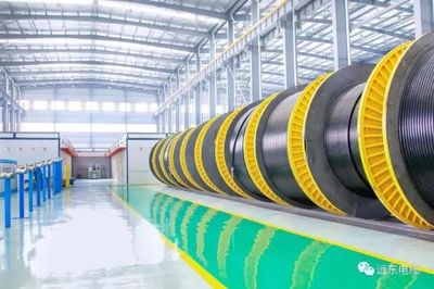 保障“吉電入魯”項目順利落地，遠東電纜再展實力